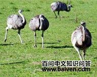 ��������Ŀ