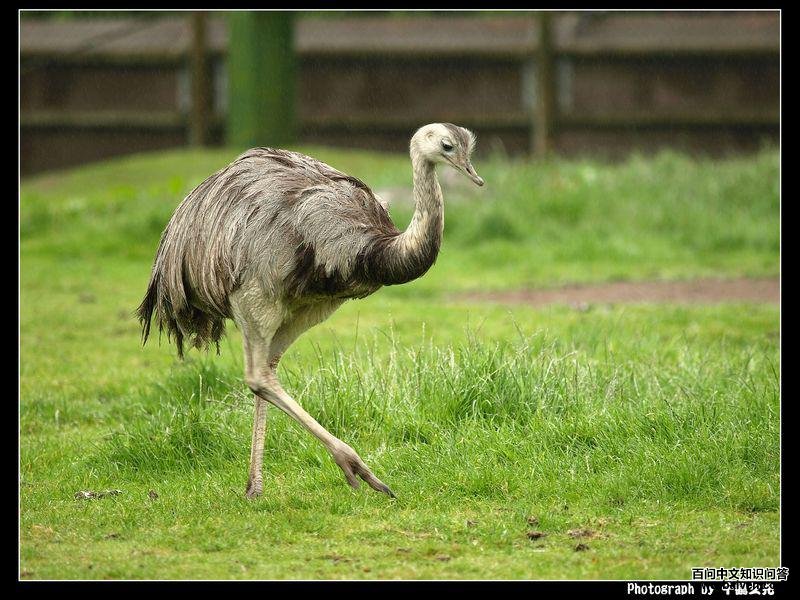 ���������ͼƬ