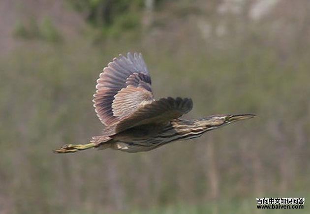 �������Z