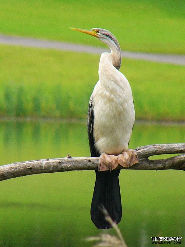 �������õ�ͼƬ