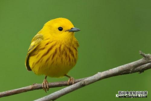 ���޻���ݺ