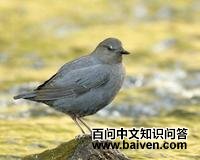 ���޺���