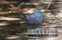 ���޺���