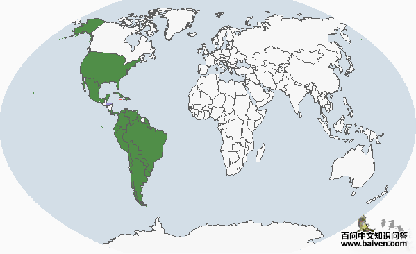 ���ް�����