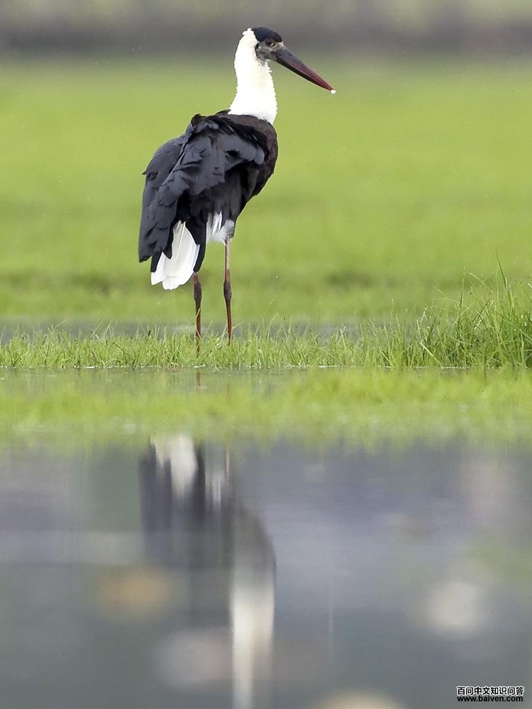 �׾��٣���Ӱ�������ˣ������й����ϣ�ʱ��2011��07��30�գ�