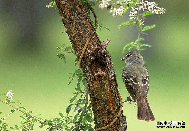 �Ϲ�԰��l��ͼƬ