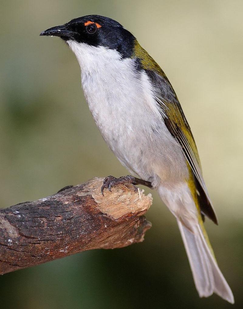 �׾��������ͼƬ