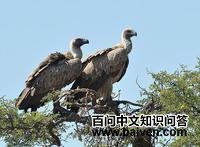 �Ϸ�أ�յ�ͼƬ