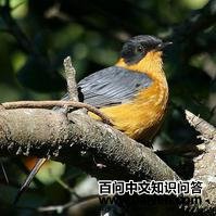 �ϷǸ��S��ͼƬ