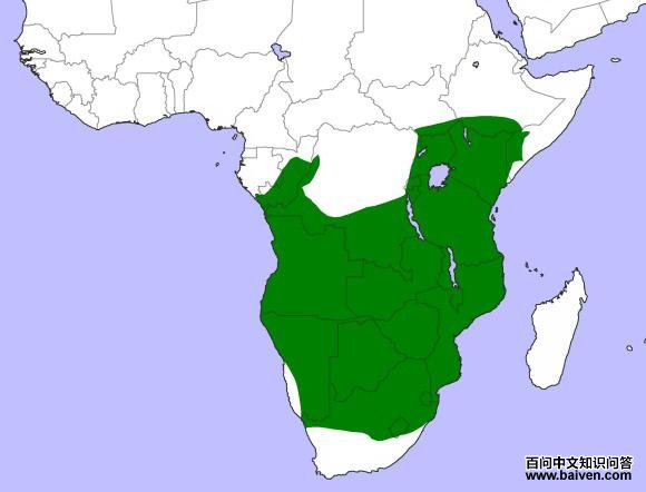 �ϰ������^�������ֲ�ͼ