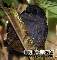 ������´����ͼƬ