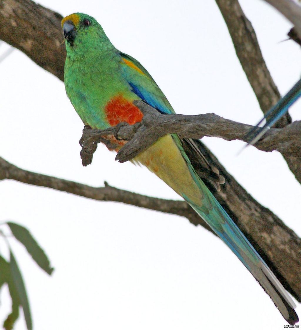 �¼����ĵ�ͼƬ