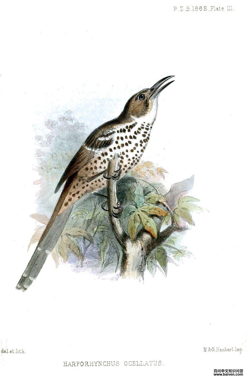 ī�������쳰��ͼƬ