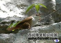 ī����������