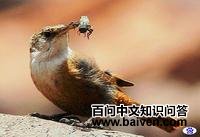 ī����������