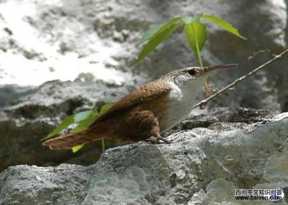 ī��������