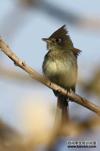 ī������l