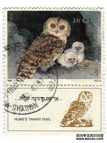 Į���^��ͼƬ