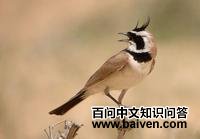 Į�ǰ����ͼƬ