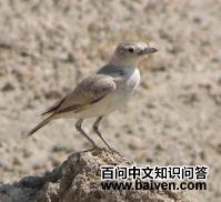 Į������