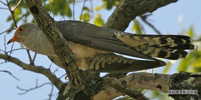 Ħ¹��ѻ���ͼƬ