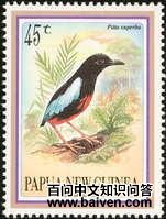 ������ɫ��ͼƬ