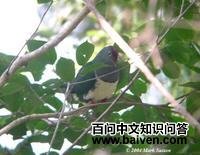 ÷�Ϲ���ͼƬ