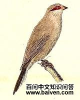 ����÷��ȸ