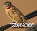 ����ȸ��