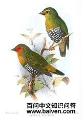 �̱���ȸ��