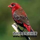 ��÷��ȸ��