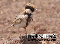 �׼�ȸ����