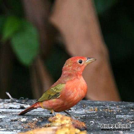 õ��������ȸ