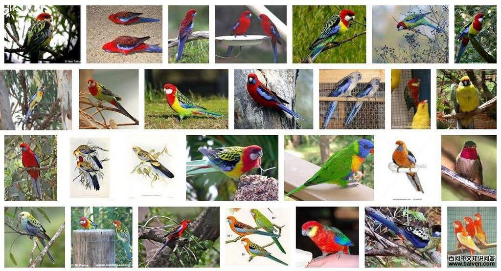 õ��������