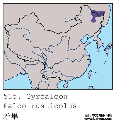 ì�������ֲ�ͼ