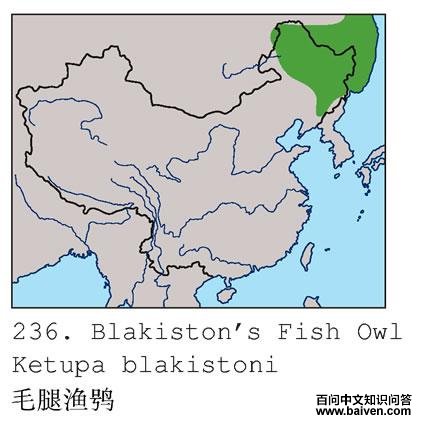 ë�����^�������ֲ�ͼ