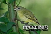 ë��С���l��ͼƬ