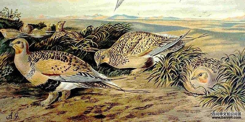 ë��ɳ������̬����ͼ