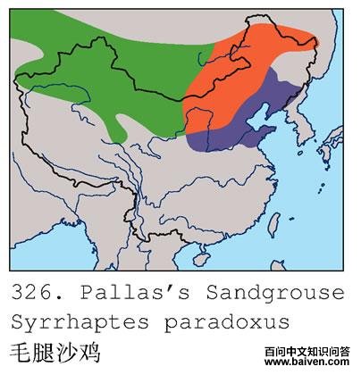 ë��ɳ���������ֲ�ͼ