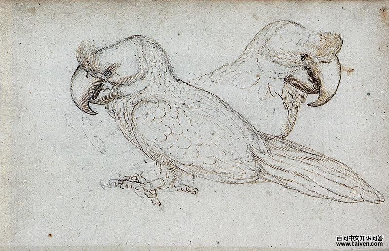 ë����˹�����ĵ�ͼƬ