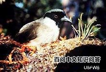 ë����ȸ��ͼƬ