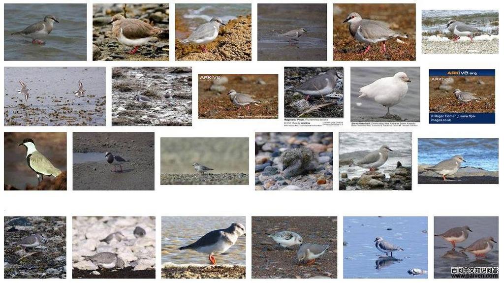 �������a��