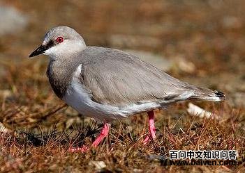 �������a