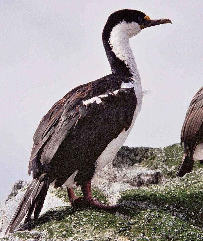 ����˵�ͼƬ