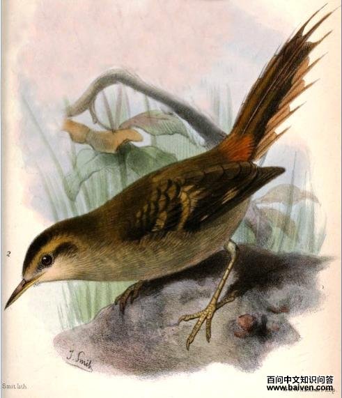 ��������ȸ��ͼƬ