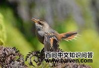 ��������ȸ