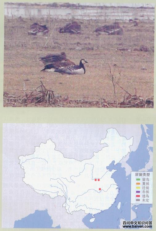 �׼պ��㣺���ڼ�¼�ͷֲ�