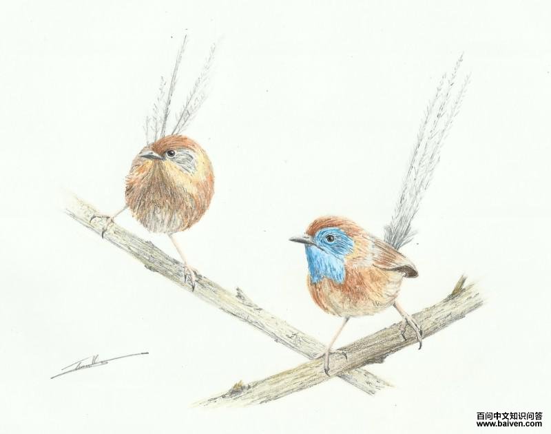 ������β��ݺ