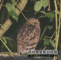 �������^��ͼƬ