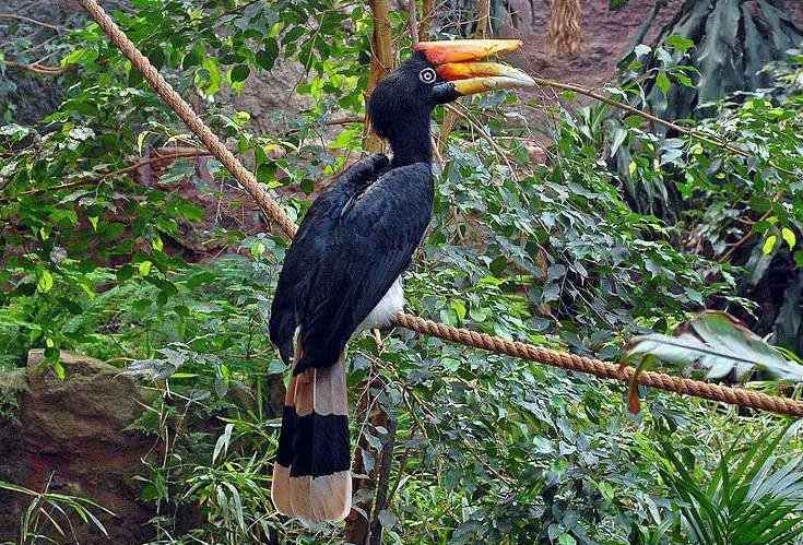 ����Ϭ��